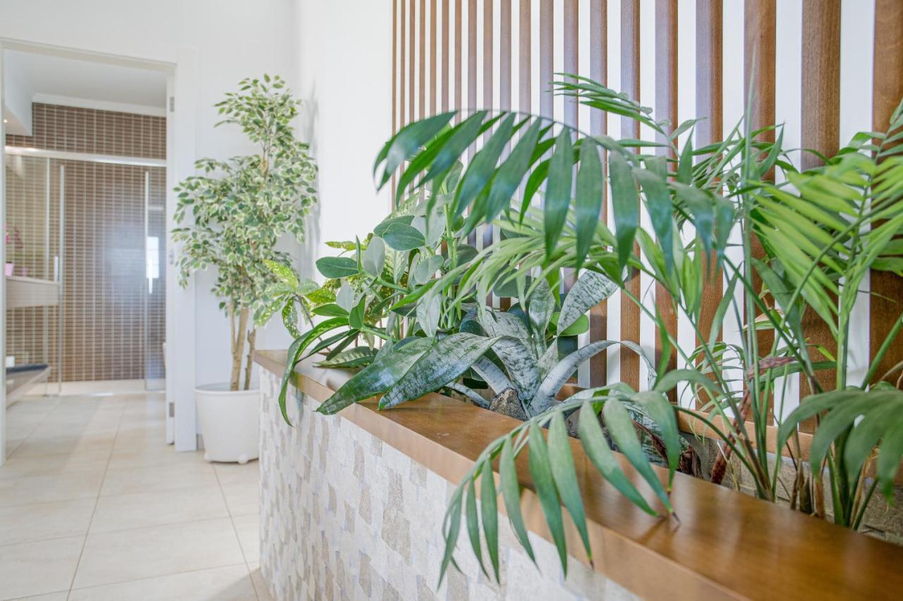 Villa Santana Conil Ngoại thất bức ảnh